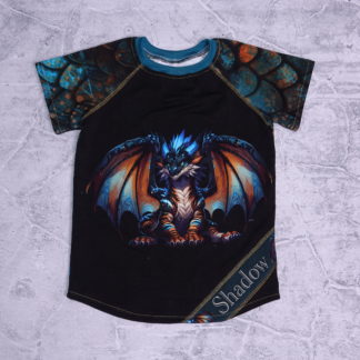 Draken raglan maat 7/8 jaar (122/128)